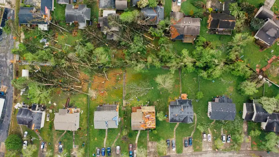 Drone dramatic view of small settlement cottages with ruined roofs and windthrown trees after massive storm